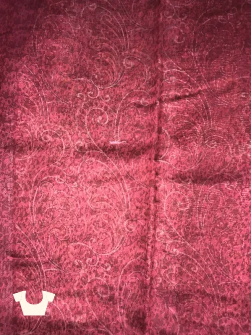 Ruby Red Banarasi Silk Saree with Golden Zari Weaving | The Saree Shop